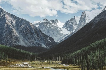 滴滴司机市场份额：限时特惠策略下的竞争优势